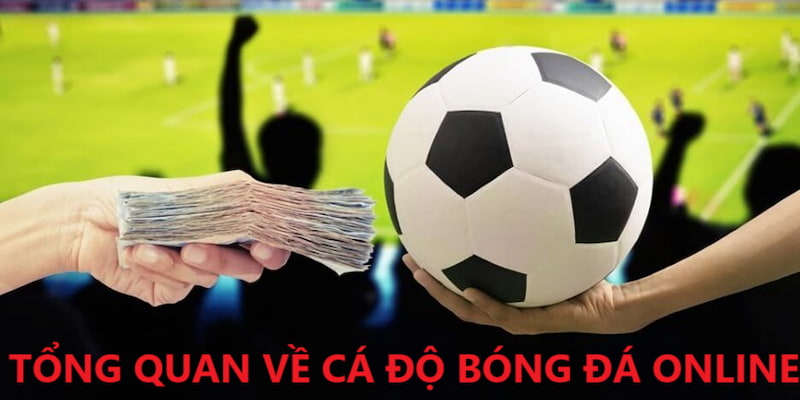 Giải thích cá độ bóng đá online là gì