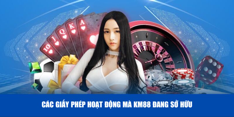 Các giấy phép hoạt động mà KM88 đang sở hữu