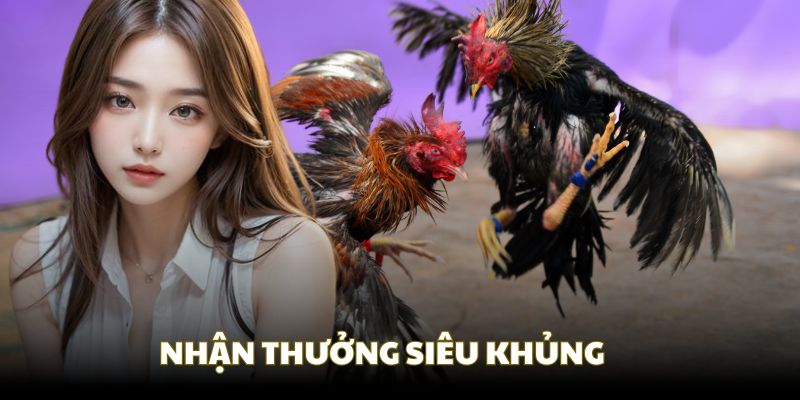 Tỷ lệ thưởng cực khủng lên tới 1 ăn 9 tại đá gà KM88